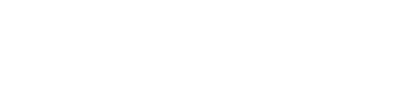 Plan de Recuperación